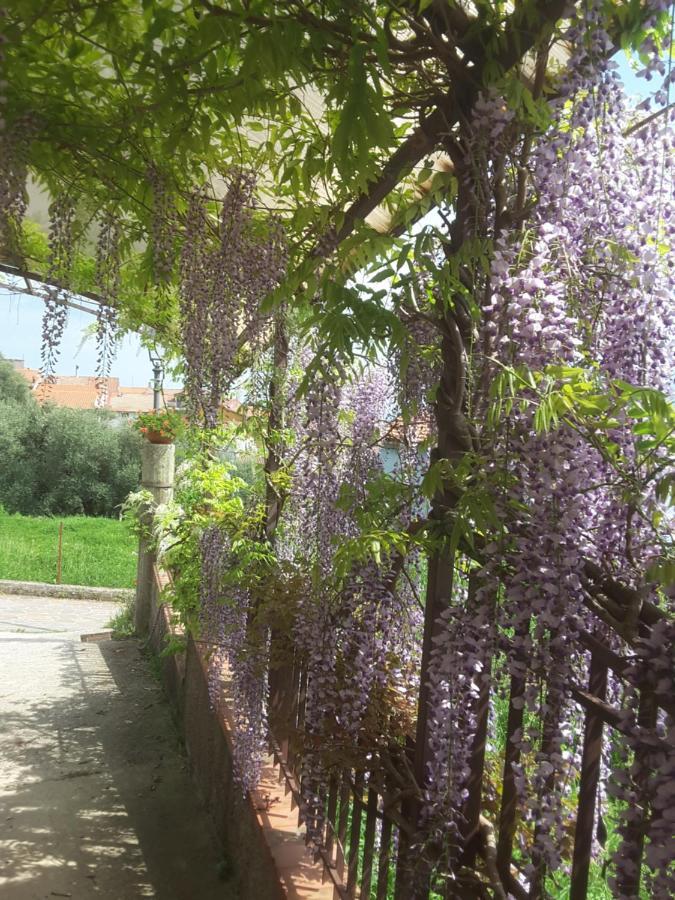 Bed and Breakfast Mansarda Fiorita Abatemarco Экстерьер фото